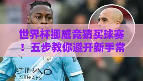 世界杯挪威竞猜买球赛！五步教你避开新手常见坑