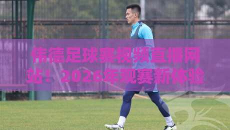 伟德足球赛视频直播网站！2026年观赛新体验深度测评