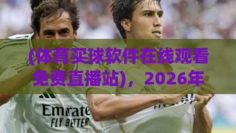 (体育买球软件在线观看免费直播站),2026年实测这几家靠谱又好用!