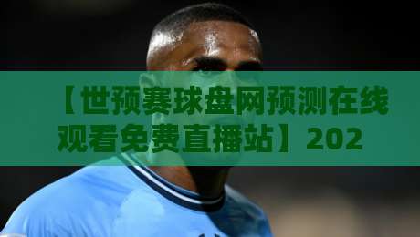 【世预赛球盘网预测在线观看免费直播站】2026赛季观赛与解析新选择