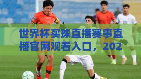 世界杯买球直播赛事直播官网观看入口，2026年最新观赛指南