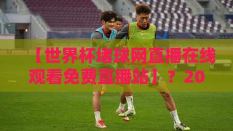 【世界杯堵球网直播在线观看免费直播站】？2026年观赛避坑指南来了！
