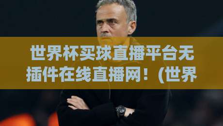 世界杯买球直播平台无插件在线直播网！(世界杯买球直播平台无插件在线直播网) 2026看球指南与避坑心得