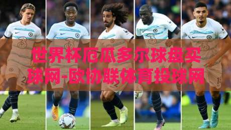 世界杯厄瓜多尔球盘买球网-欧协联体育投球网：2026年最新投注策略与平台选择指南