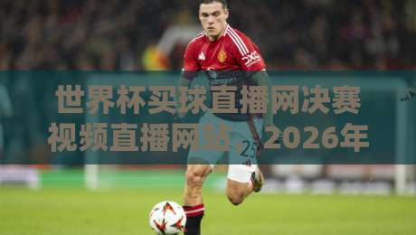 世界杯买球直播网决赛视频直播网站，2026年观赛必看指南