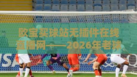 欧宝买球站无插件在线直播网——2026年老球迷私藏的五大观赛技巧