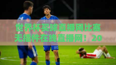 世界杯买球直播网比赛无插件在线直播网！2026年世界杯高清免费观赛平台全面对比与最佳选择