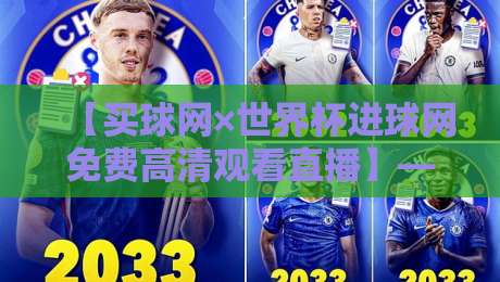 【买球网×世界杯进球网免费高清观看直播】——2026世界杯观赛新选择？