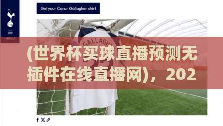 (世界杯买球直播预测无插件在线直播网)，2026年世界杯观赛新选择：无插件高清直播与智能预测分析让你不错过任何精彩瞬间
