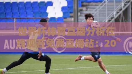 世界杯体育直播分析在线观看免费直播站：2026年观赛指南与实用技巧