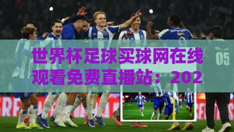 世界杯足球买球网在线观看免费直播站：2026年球迷必备观赛指南