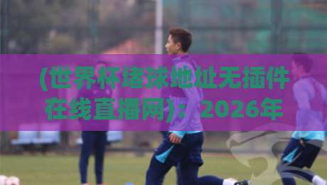 (世界杯堵球地址无插件在线直播网)：2026年观赛新姿势，这些坑你踩过吗？