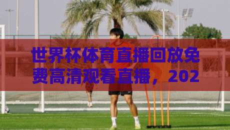 世界杯体育直播回放免费高清观看直播，2026年这些渠道你试过吗？