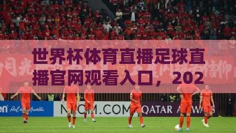 世界杯体育直播足球直播官网观看入口,2026年最新观赛指南与避坑技巧 世界杯体育直播足球直播官网观看入口,2026年最新观赛指南与避坑技巧