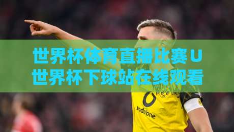 世界杯体育直播比赛∪世界杯下球站在线观看免费直播站,2026年观赛全攻略 世界杯体育直播比赛∪世界杯下球站在线观看免费直播站,2026年观赛全攻略