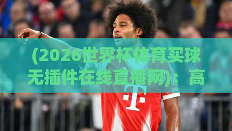 (2026世界杯体育买球无插件在线直播网)：高清流畅的观赛新选择！