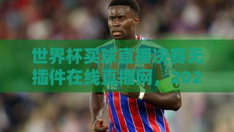 世界杯买球直播决赛无插件在线直播网，2026年球迷必备观赛指南！