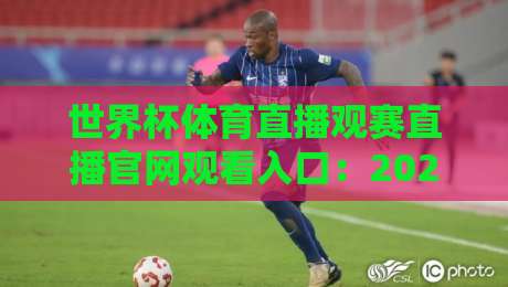 世界杯体育直播观赛直播官网观看入口:2026美加墨世界杯必收藏指南