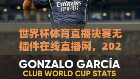 世界杯体育直播决赛无插件在线直播网,2026年你该去哪看?
