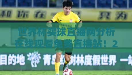 世界杯买球直播网分析在线观看免费直播站!2026新手避坑指南