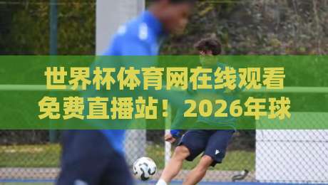 世界杯体育网在线观看免费直播站!2026年球迷必知的五大观赛技巧