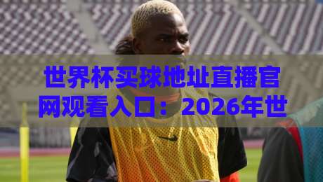 世界杯买球地址直播官网观看入口:2026年世界杯观赛全攻略及安全指南