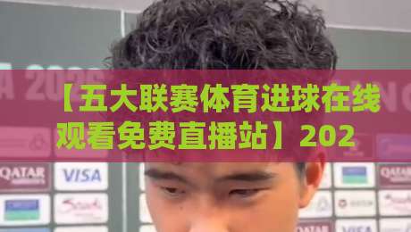 【五大联赛体育进球在线观看免费直播站】2026年最强观赛指南,零门槛畅享欧洲足球盛宴!
