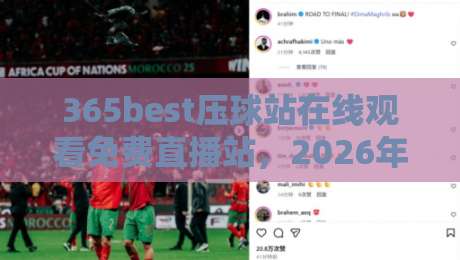 365best压球站在线观看免费直播站，2026年体育迷的免费观赛新选择