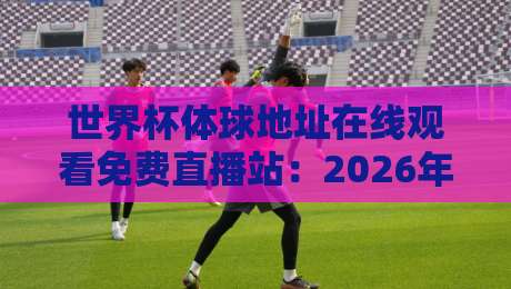 世界杯体球地址在线观看免费直播站:2026年球迷必备的高清观赛指南