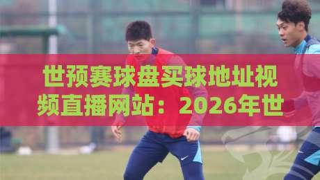 世预赛球盘买球地址视频直播网站：2026年世预赛观赛指南与风险提示