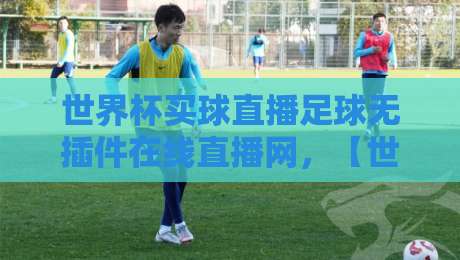 世界杯买球直播足球无插件在线直播网,【世界杯买球直播足球无插件在线直播网】2026球迷必备观赛指南