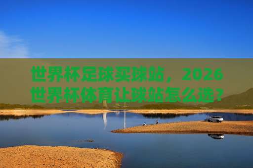 世界杯荷兰投球站-2026世界杯足球买球：荷兰队的夺冠赔率与实战投注指南
