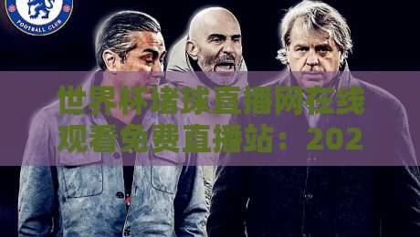 世界杯堵球直播网在线观看免费直播站:2026年球迷必备的观赛指南