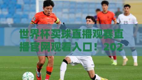 世界杯买球直播观赛直播官网观看入口!2026年球迷必收藏的通道合集