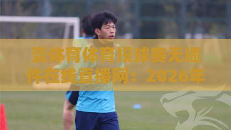 壹体育体育投球赛无插件在线直播网:2026年观赛新体验,你试过吗?