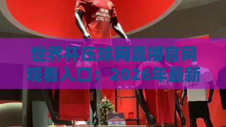 世界杯压球网直播官网观看入口:2026年最新实测验证的官方入口与安全观赛指南