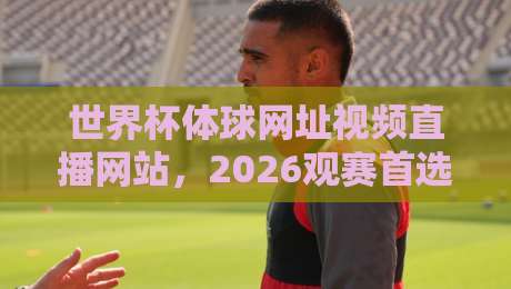 世界杯体球网址视频直播网站,2026观赛首选平台深度解析