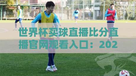 世界杯买球直播比分直播官网观看入口：2026年最全观赛指南与避坑攻略