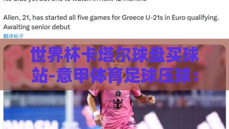 世界杯卡塔尔球盘买球站-意甲体育足球压球：2026年新规下的投注策略与避坑指南