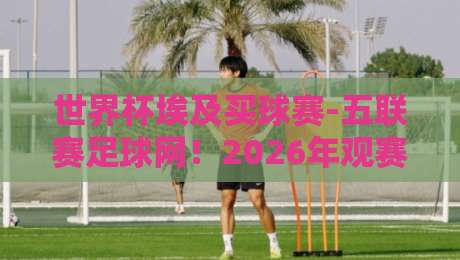 世界杯埃及买球赛-五联赛足球网！2026年观赛与投注全攻略