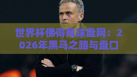 世界杯佛得角球盘网：2026年黑马之路与盘口深度解析