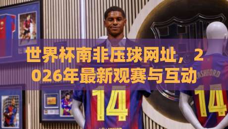 世界杯南非压球网址，2026年最新观赛与互动指南