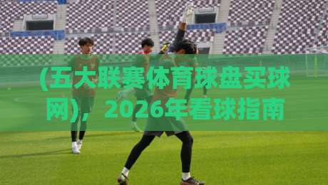 (五大联赛体育球盘买球网)，2026年看球指南：这些盘口秘密你知道吗？
