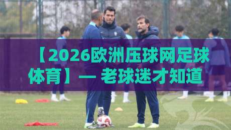【2026欧洲压球网足球体育】— 老球迷才知道的门道，新赛季下注前必看