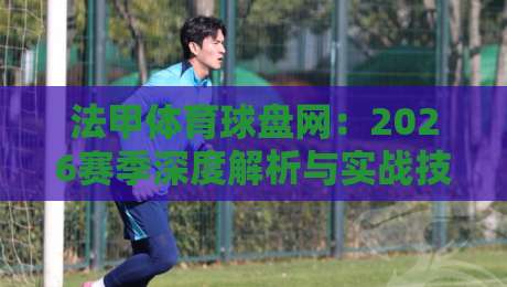 法甲体育球盘网：2026赛季深度解析与实战技巧【法甲体育球盘网】