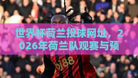 世界杯荷兰投球网址，2026年荷兰队观赛与预测平台全攻略