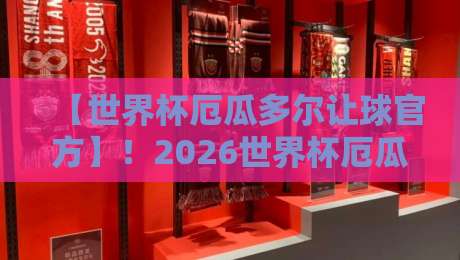 【世界杯厄瓜多尔让球官方】！2026世界杯厄瓜多尔让球数据深度解析