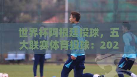 世界杯阿根廷投球，五大联赛体育投球：2026年实战策略与避坑指南