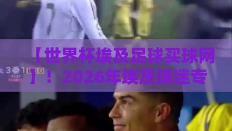 【世界杯埃及足球买球网】！2026年埃及球迷专属观赛与竞猜指南