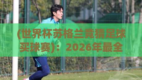 (世界杯苏格兰竞猜足球买球赛)：2026年最全观赛与投注指南